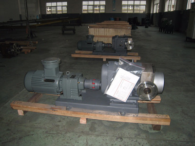 普利施65PLST6-10 日用化工轉(zhuǎn)子泵,甘油、化妝品料漿輸送泵 價(jià)格優(yōu)惠歡迎咨詢(xún)圖片_高清圖_細(xì)節(jié)圖-江蘇普利施泵業(yè) -